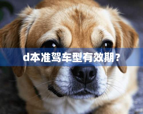 d本准驾车型有效期？