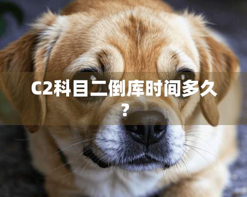 C2科目二倒库时间多久？