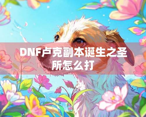 DNF卢克副本诞生之圣所怎么打