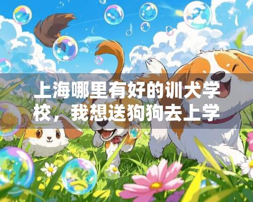 上海哪里有好的训犬学校，我想送狗狗去上学。