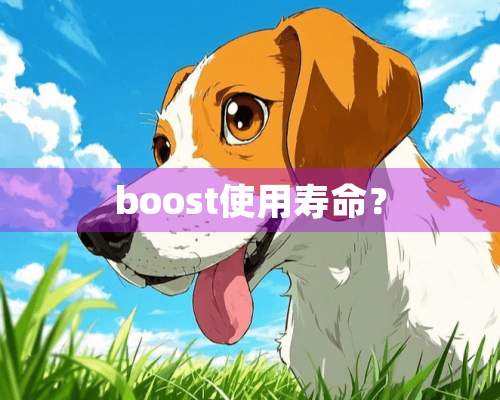 boost使用寿命？