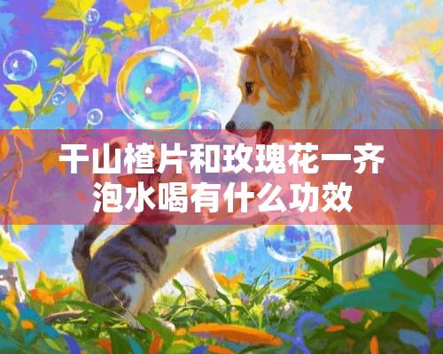 干山楂片和玫瑰花一齐泡水喝有什么功效