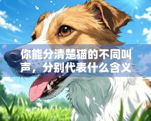 你能分清楚猫的不同叫声，分别代表什么含义吗？