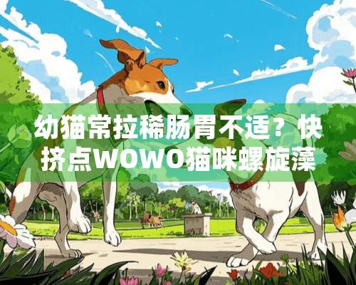 幼猫常拉稀肠胃不适？快挤点WOWO猫咪螺旋藻营养膏吧