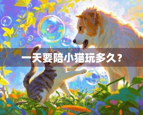 一天要陪小猫玩多久？