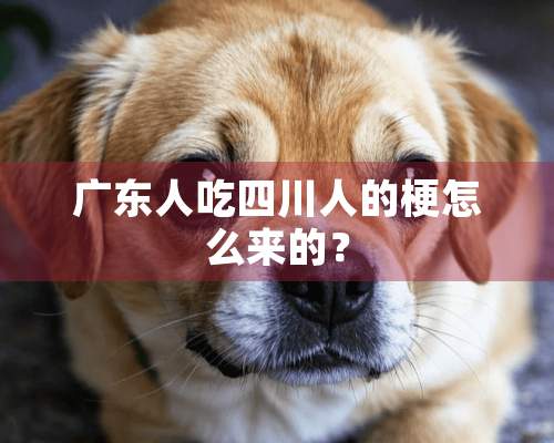 广东人吃四川人的梗怎么来的？