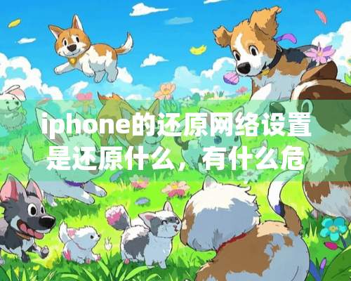 iphone的还原网络设置是还原什么，有什么危害？