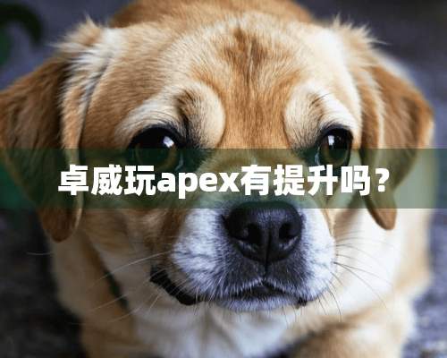 卓威玩apex有提升吗？