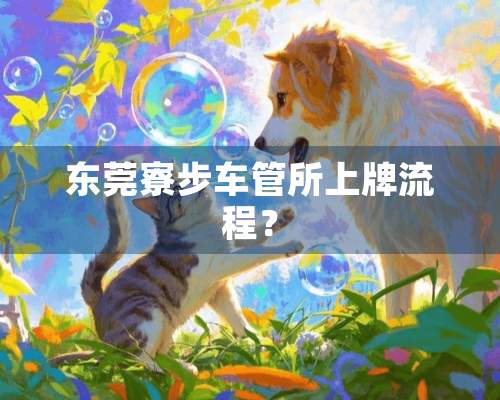 东莞寮步车管所上牌流程？