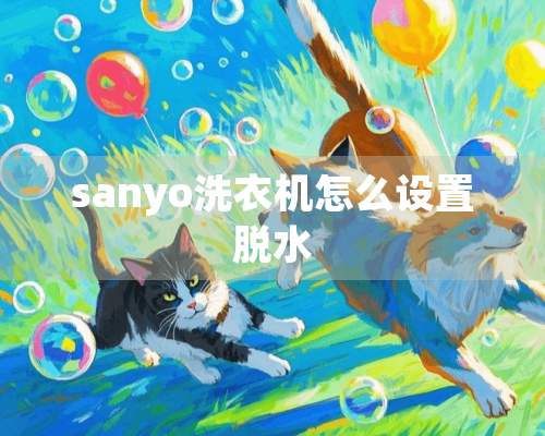 sanyo洗衣机怎么设置脱水