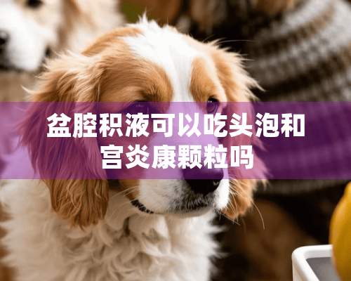 盆腔积液可以吃头泡和宫炎康颗粒吗