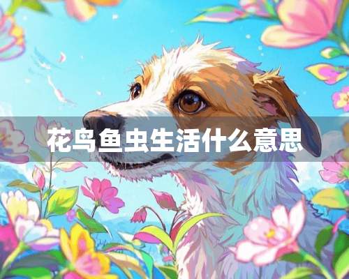 花鸟鱼虫生活什么意思