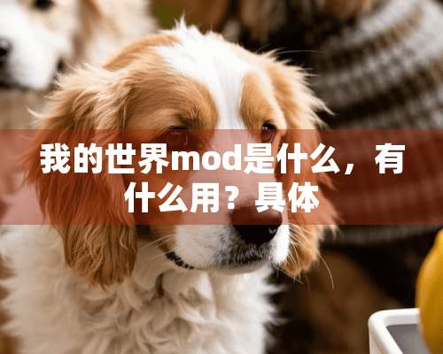 我的世界mod是什么，有什么用？具体