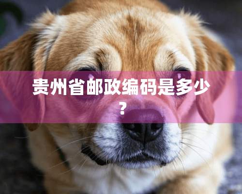 贵州省邮政编码是多少？