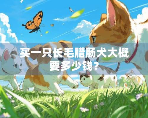 买一只长毛腊肠犬大概要多少钱？