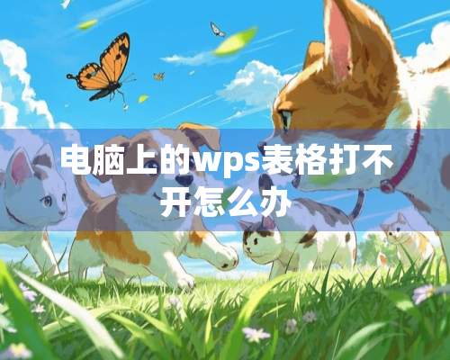 电脑上的wps表格打不开怎么办