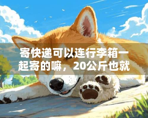 寄快递可以连行李箱一起寄的嘛，20公斤也就是40斤内，大概多少钱？