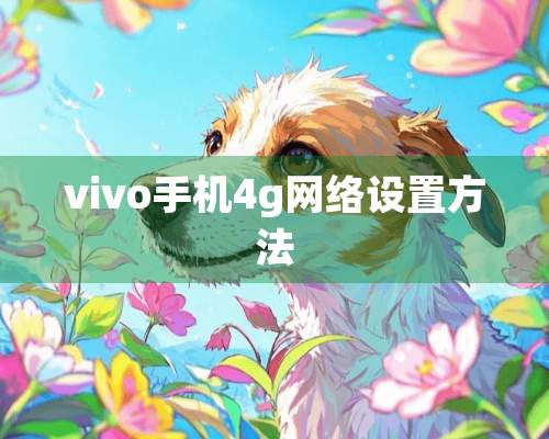 vivo手机4g网络设置方法