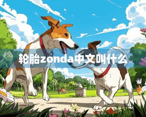 轮胎zonda中文叫什么