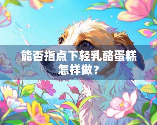 能否指点下轻*酪蛋糕怎样做？