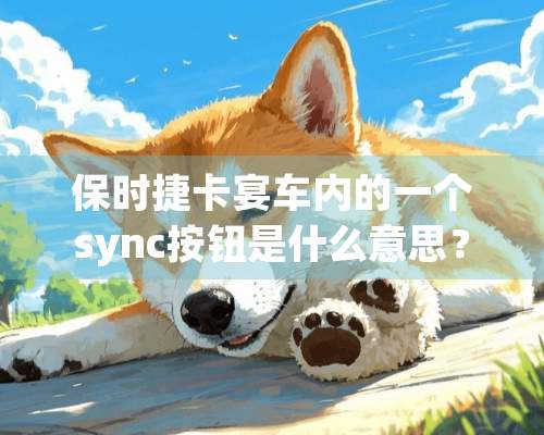 保时捷卡宴车内的一个sync按钮是什么意思？