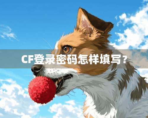 CF登录密码怎样填写？