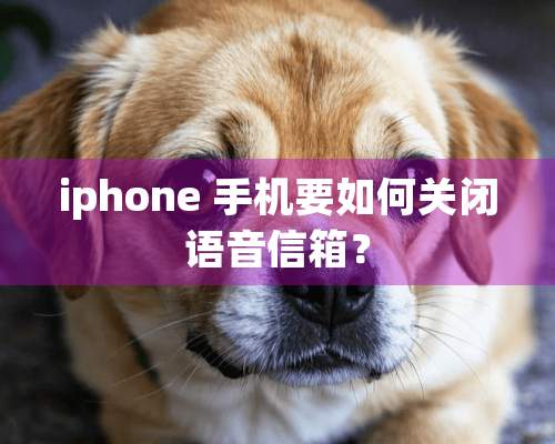 iphone 手机要如何关闭语音信箱？