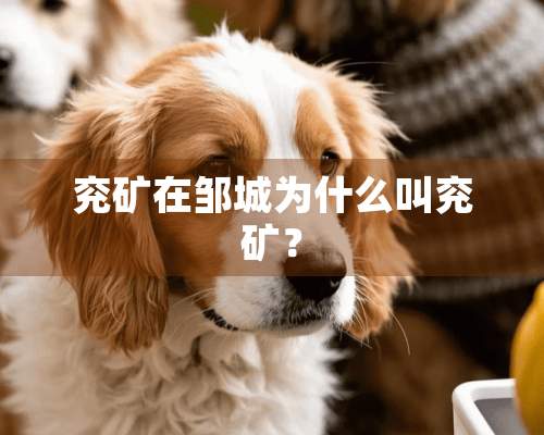 兖矿在邹城为什么叫兖矿？