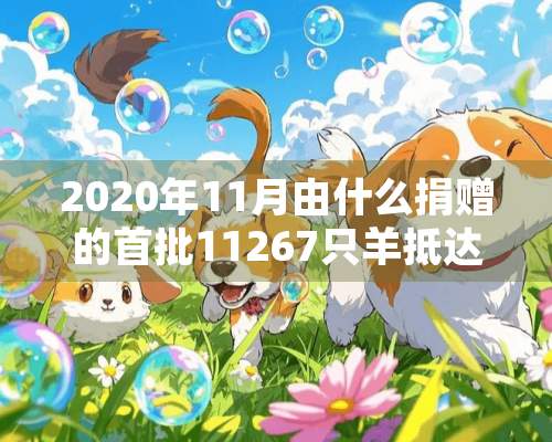 2020年11月由什么捐赠的首批11267只羊抵达武汉？