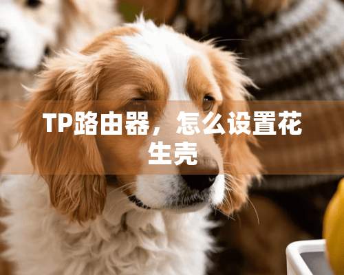 TP路由器，怎么设置花生壳