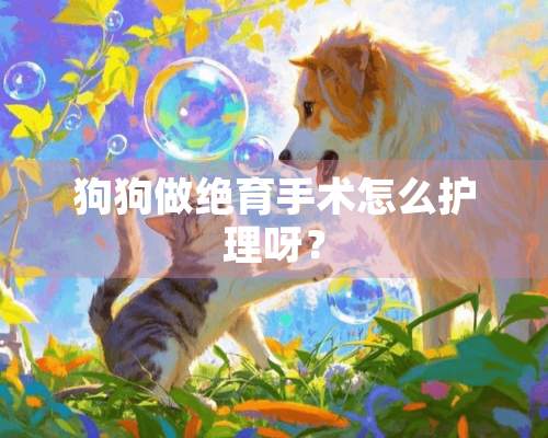 狗狗做绝育手术怎么护理呀？