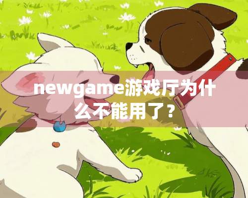 newgame游戏厅为什么不能用了？