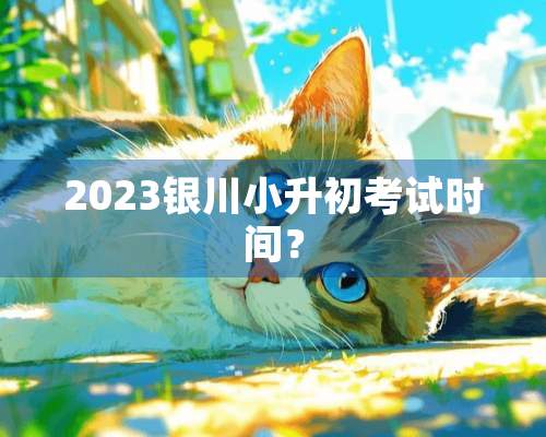 2023银川小升初考试时间？