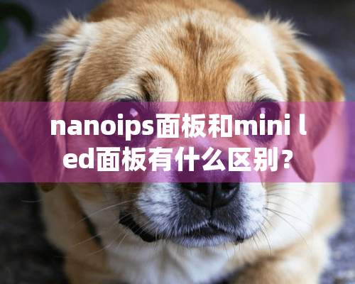 nanoips面板和mini led面板有什么区别？