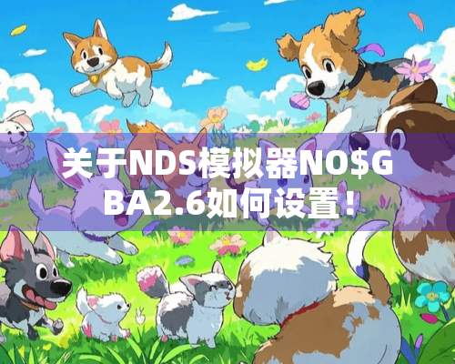 关于NDS模拟器NO$GBA2.6如何设置！