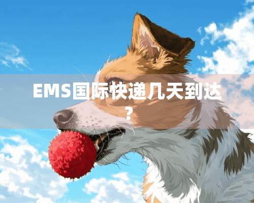 EMS国际快递几天到达？