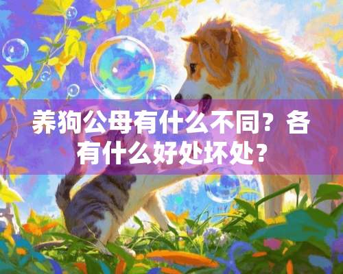 养狗公母有什么不同？各有什么好处坏处？