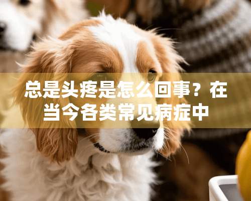 总是头疼是怎么回事？在当今各类常见病症中