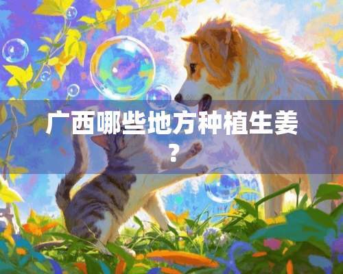 广西哪些地方种植生姜？