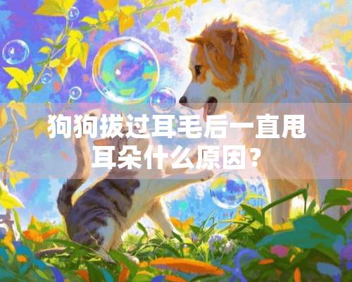 狗狗拔过耳毛后一直甩耳朵什么原因？