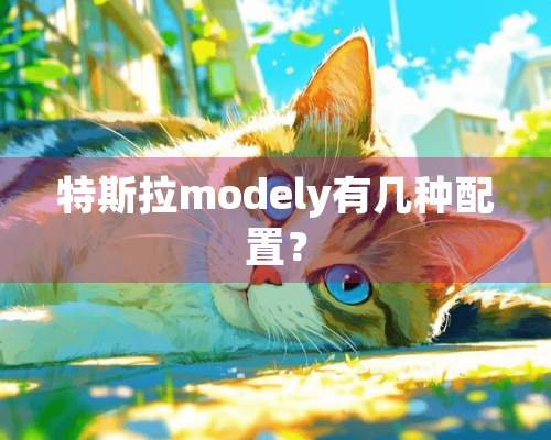 特斯拉modely有几种配置？