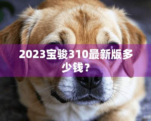 2023宝骏310最新版多少钱？