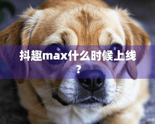 抖趣max什么时候上线？