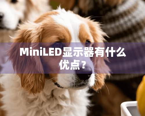 MiniLED显示器有什么优点？