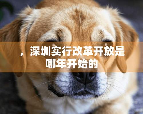 ，深圳实行改革开放是哪年开始的