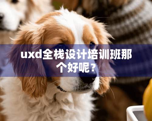 uxd全栈设计培训班那个好呢？