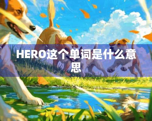 HERO这个单词是什么意思