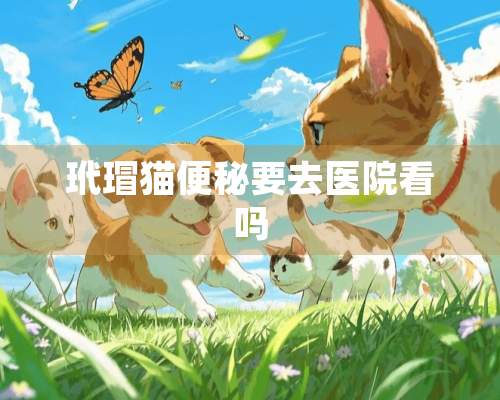 玳瑁猫便秘要去医院看吗