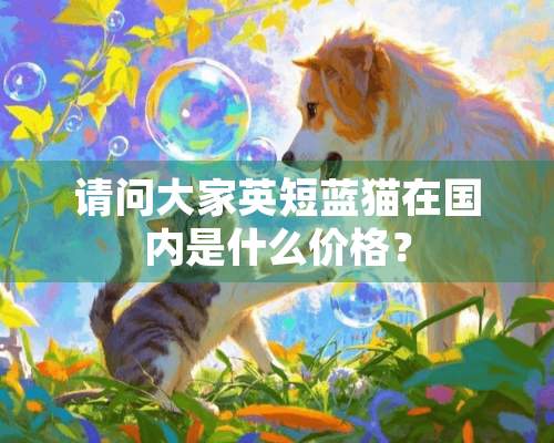 请问大家英短蓝猫在国内是什么价格？