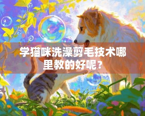 学猫咪洗澡剪毛技术哪里教的好呢？